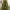 Barneswood Pre-Lit Spruce Tree with Multi Action Lights