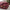 Christmas Nutcracker Stripe Duvet Cover Set