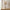 Smooth Refined Ceramic Table Lamp