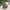 Grecian Style Laying Garden Urn Pot