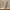 Detailed Pavan Dancer Figurine Sculpture