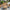 Melissa Four Seater Garden Set
