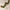 Festive Evergreen Christmas Garland with Decor