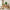 Trio Spring Artificial Potted Plant Decoration