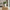 Loni Sculptural Interior Decorative Vase