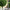 Uno Artificial Potted Topiary Tree