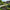 120 Individual Solar Firefly Garden Pole Lights