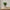 Natural Geometric Cube Decorative Vase