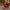 Transform Sleigh Reindeer Decoration