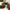 Decorative Christmas Tinsel Garland with Bows