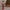 Classic King Light Up Nutcracker Ornament