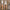 Rustic 4 Piece Garden Tool Set