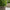 Artificial Rattan Pot Obelisk Tree