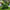 Artificial Grass Turtle Garden Ornament