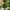 Capri Artificial Two Ball Topiary Tree