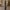 Pre-Lit LED Spiral Foliage Tree