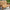 Classic Wooden Two Seater Garden Bench
