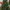 8ft Douglas Fir Artificial Tree with Wrapped Branches