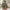 Realistic Faux Eucalyptus Tree