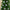 Mixed Finish Christmas Bauble 20 Pack - Green