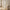 Contemporary Pleated Waisted Floor Lamp