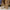 Wooden Led Nested Trees Set Of 3 Statement Light