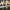 Garden Fairy Decorative Stakes