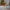 Twinkling Lit Festive Fabric Doe with Red Bow