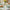 Decorative Easter Dining Table Cloth