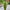 Lifelike Artificial Potted Onion Grass