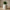 Sculptural Natural Finish Decorative Vase