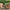 Scandinavian Redwood Twin Garden Companion Set