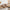 Cosy Autumnal Plush Decorative Figure