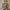 7ft Heritage Fir Pre-Lit Flocked Christmas Tree