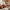 Large Plush Textured Pumpkin Decor Piece