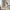 Decorative Lantern House Ornament