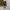 Mains Operated LED Infinity Effect Santa Light