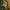 Realistic Fir and Pine Cone Decorative Spray