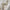 Decorative White Foliage Leaf Garland