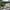 Pagoda Deluxe Overhanging Square Parasol