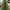 5ft Heritage Fir Pre Lit Woodcote Spruce Tree Display