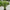 Realistic Artificial Potted Sisal Garden Plant