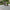 Lunaria Diamond Outdoor Garden Rug