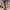 Lifelike Purple Wisteria Potted Tree