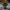 Pre-Lit Festive Foliage Planter Statement Light