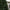 5ft Realistic Woodcote Spruce Tree Display