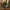 Festive Pre-Lit Potted Christmas Tree