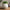 Martha Quality Decorative Vase