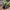 Heywood Mill Solar Water Wheel Water Fountain