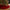 Plush Faux Fur Christmas Tree Skirt